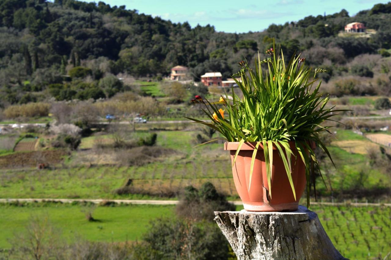 Villa Skafonas Sinarádes Exteriér fotografie