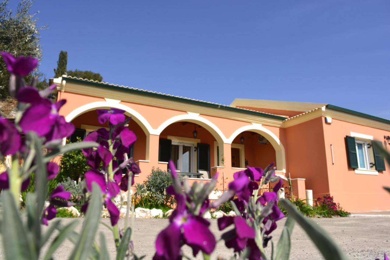 Villa Skafonas Sinarádes Exteriér fotografie