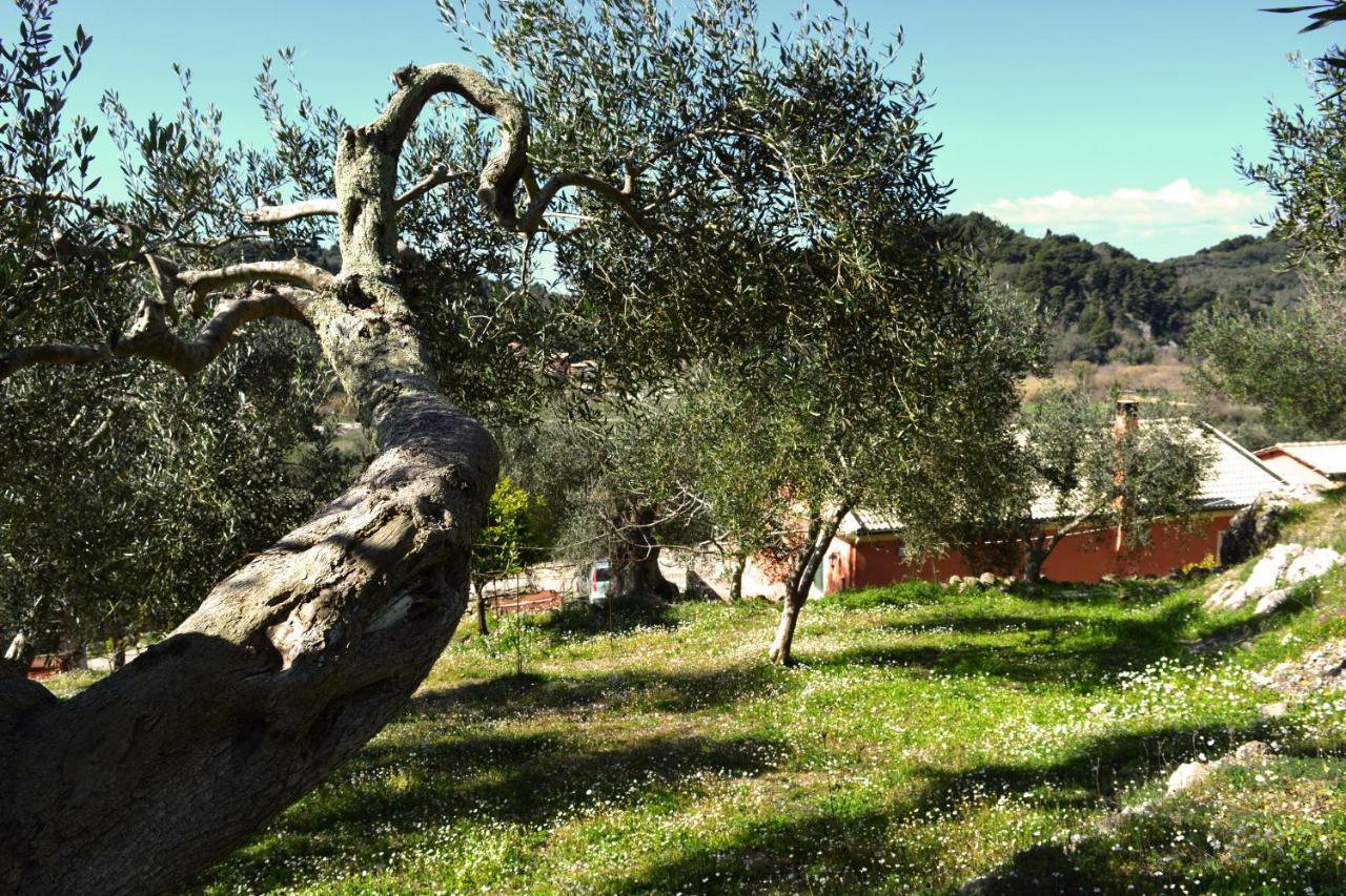 Villa Skafonas Sinarádes Exteriér fotografie